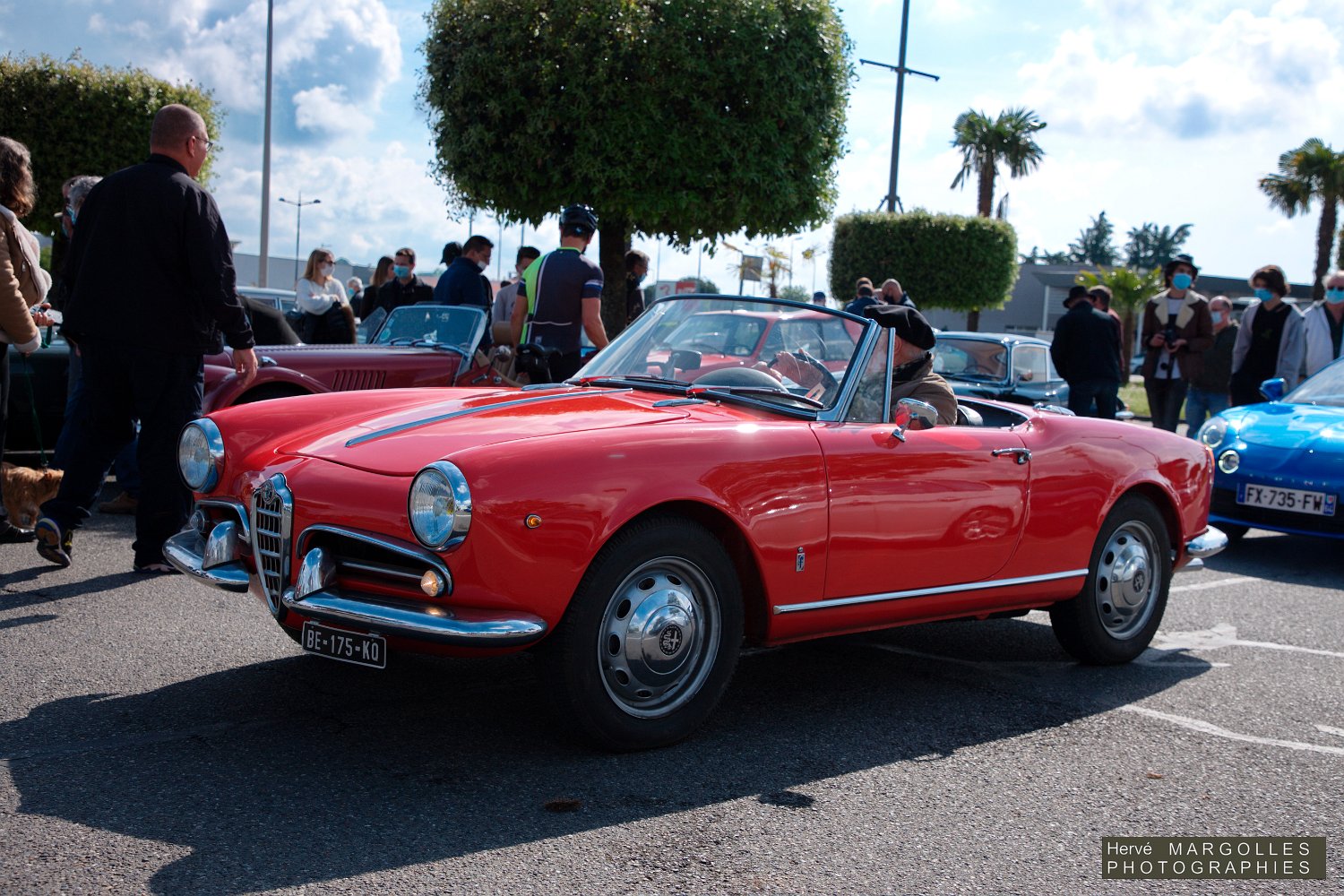 Alfa Romeo Giulia-01.jpg
